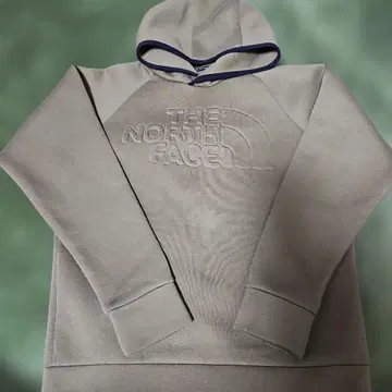 THE NORTH FACE 후드 부착 후드티 S
