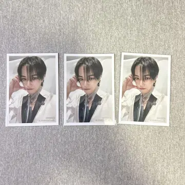 오히라 쇼세이 KCON 사진