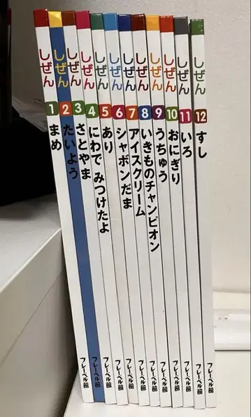 자연 전 12권 그림책 세트