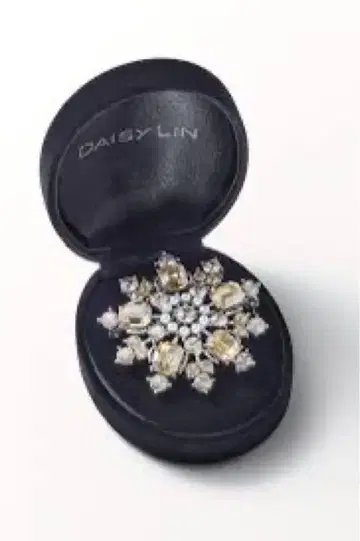 Daisylin 파워 스톤 브로치 목걸이