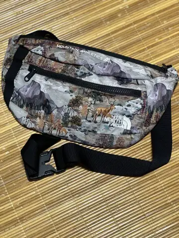 원하시는 가격을 댓글로 남겨주세요. THE NORTH FACE 바디백