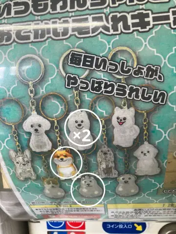 외출용 털 주머니 키링 강아지 캡슐 토이 키링 세트