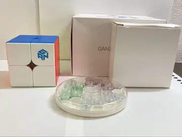 GAN251 M leap