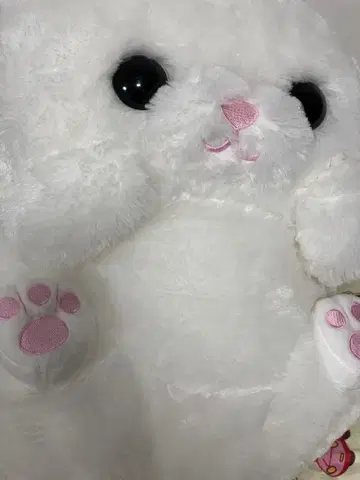 넷치 후와마루 컬렉션 울트라 점보 냥코 봉제 인형
