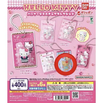 HELLO KITTY 패키지 미니어처 컬렉션