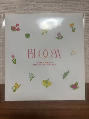 도경수 BLOOM 일본 한정판 스카프 트레이딩 카드 포함