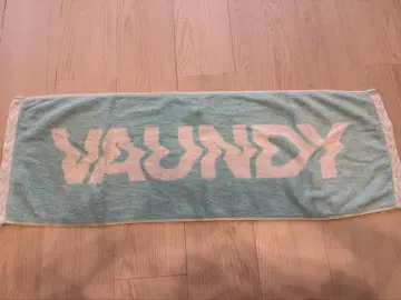 Vaundy 타월