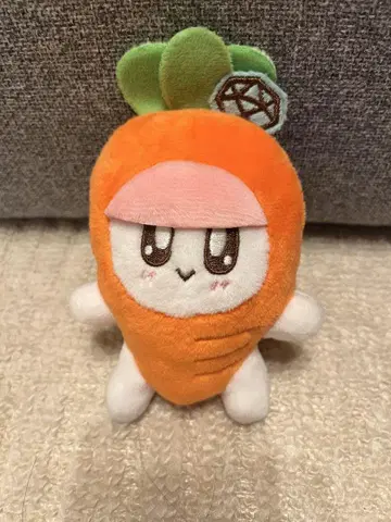 SEVENTEEN 봉봉이 당근