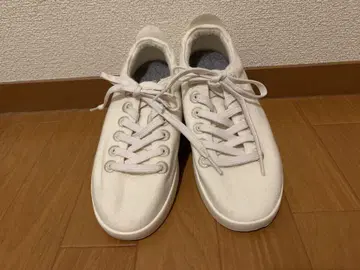 allbirds 올버즈 화이트 스니커즈 24cm