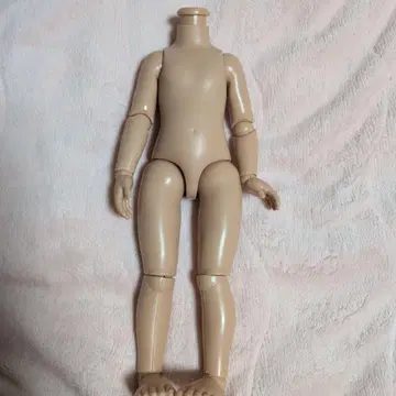 파올라 인형 가동 바디