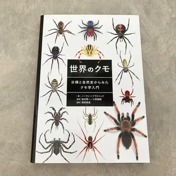 세계의 거미 분류와 자연사로 본 거미학 입문