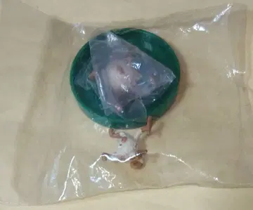 포켓몬 입체도감 오코리자루