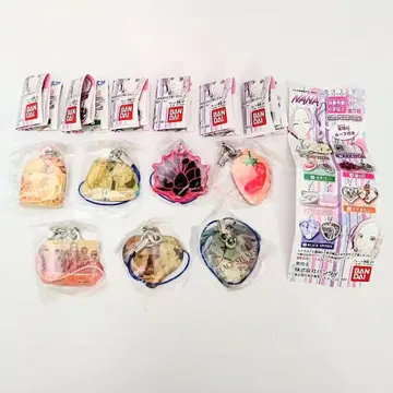 [전종 컴프] 미개봉 NANA 리버서블 플레이트 스트랩 야자와 아이