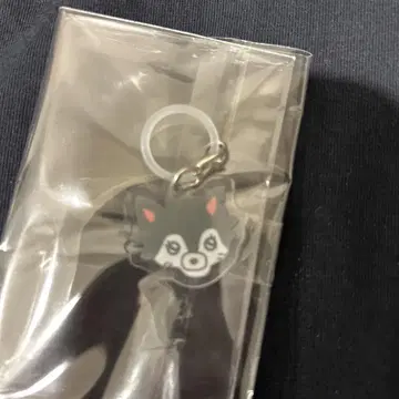코니시 나나미 히나타자카46 메지루시 참 키링