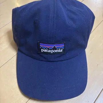 patagonia 네이비 캡