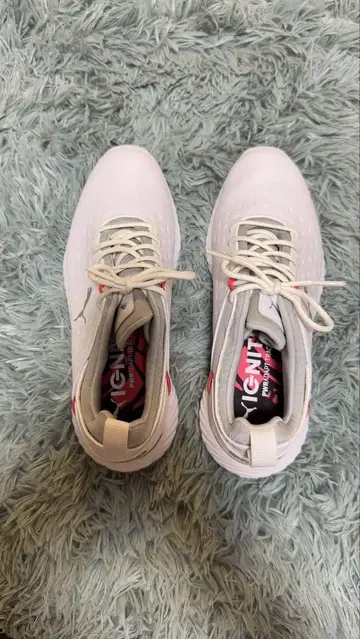 PUMA IGNITE 여성용 골프화 화이트