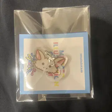 와타나베 리나 히나타자카46 메지루시 참 키링