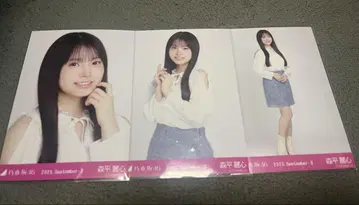 노기자카46 모리히라 레이신 어깨 트임 상의 브로마이드 컴프