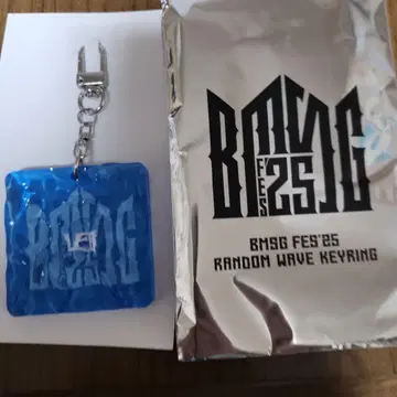 BMSG FES'25 랜덤 웨이브 키링 BEFIRST 레오