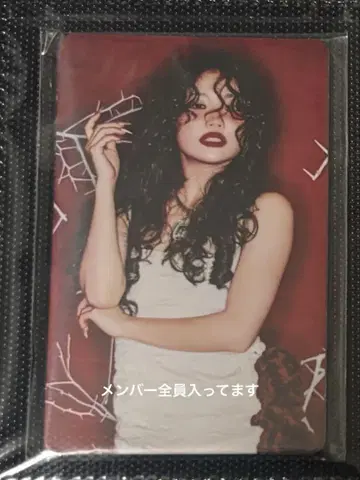 [미개봉 새상품] HANA ROSE C 타입 컴프 세트