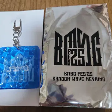 BMSG FES'25 랜덤 웨이브 키링 BEFIRST 슈토