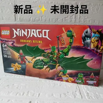 LEGO Ninjago 71829 로이드의 그린 포레스트 드래곤