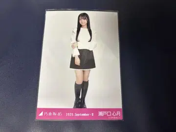 노기자카46 어깨 트임 상의 브로마이드 세토구치 신츠키 히키