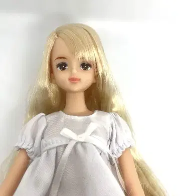 제니 프렌드 유리시아 리카짱 캐슬 오타노시미 인형
