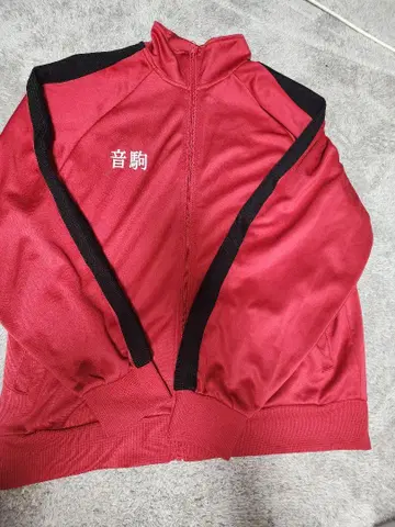 아베일 하이큐 네코마 저지