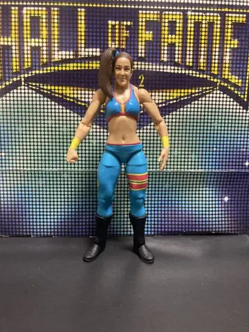 WWE 피규어 프로레슬링 베일리 마텔제 NXT