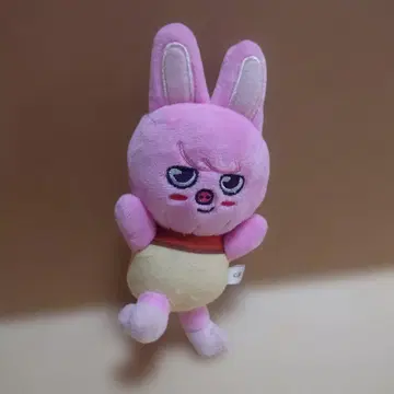 Stray Kids 2nd World Tour MANIAC DWAEKKI