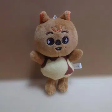 Stray Kids 2nd Tour MANIAC HAN QUOKKA