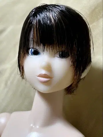 CCS 15SS momoko 본체만