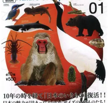 NATURE OF JAPAN 일본의 생물 01 전 10종 세트