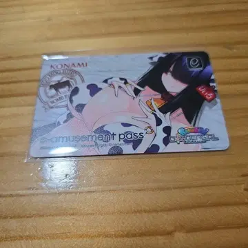 히이로 e-amusement pass 봄버걸