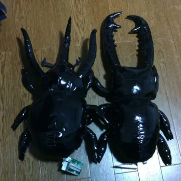 초 리얼 코카서스장수풍뎅이 vs 기라파사슴벌레 세트