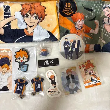 하이큐!! 히나타 쇼요