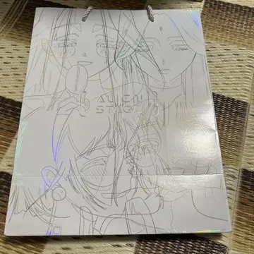 에이리언 스테이지 alienstage 중국 쇼핑백 봉투 굿즈