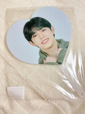 에스쿱스 CARAT LAND 2020 부채