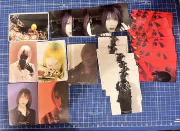 DIR EN GREY 트레이딩 카드 세트 shinya 23장