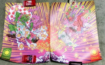 Red Hot Chili Peppers 리토그래프