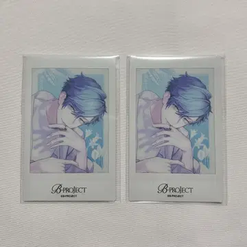 b 프로 폴라로이드 아이젠