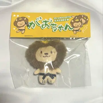 가오짱 타케우치 카이세이 멘프로