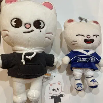 straykids 지니레트 봉제 인형 세트