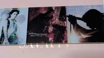 Acid Black Cherry 랜덤 마그넷 3종류