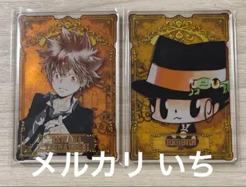 가정교사 히트맨 REBORN! 리본 스탯 카드 스테카 사와다 츠나요시