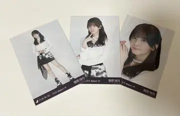 스가와라 사츠키 비대칭 컴프