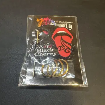 Acid Black Cherry 키링