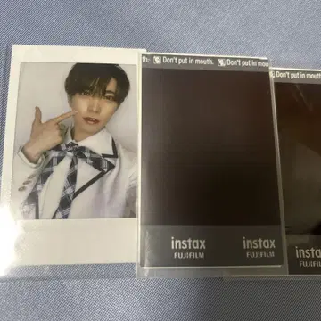 팬더 드래곤 타이거 폴라로이드 하피카
