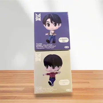 Chubby Collection 제이홉 정국 2종 세트